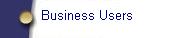 Business Users
